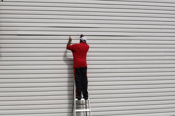 Best Siding Painting and Refinishing  in Limesa, CA