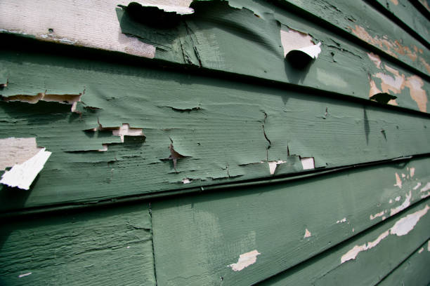 Best Custom Siding Design  in Limesa, CA