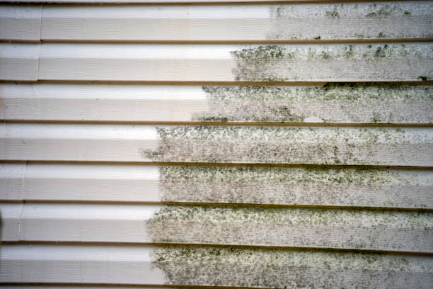Professional Siding Installation & Repair in Calimesa, CA