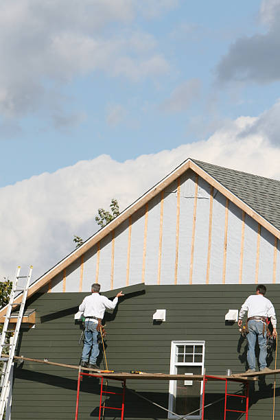 Best Fascia and Soffit Installation  in Limesa, CA
